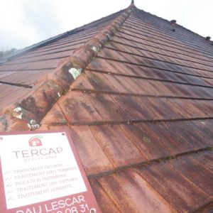 TERCAP, nettoyage de toiture et démoussage des tuiles en Béarn Pyrénées Atlantiques et Bigorre Hautes Pyrénées