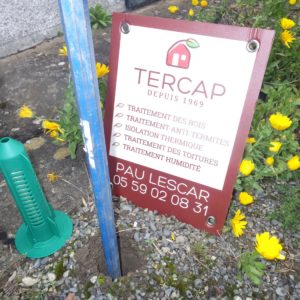 Tercap société de traitement des termites en Béarn et dans les Hautes Pyrénées