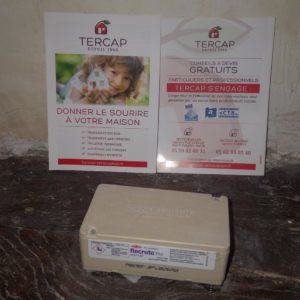 Tercap société de traitement des termites en Béarn et Bigorre intervient pour lutter contre les termites à Billère dans le Béarn