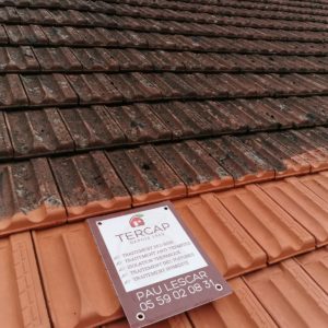 TERCAP réalise le démoussage des tuiles d'une maison de Tarbes dans les Hautes Pyrénées