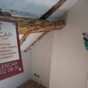 TERCAP réalise le traitement de charpente contre les vrillettes et les capricornes d'un appartement à Cauterets
