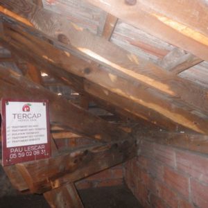 TERCAP réalise le traitement de charpente contre les vrillettes et les capricornes dans une copropriété de Pau