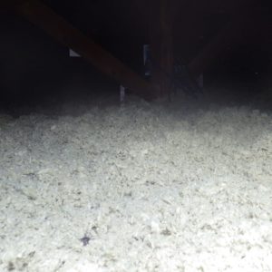 TERCAP réalise l'isolation thermique d'une maison à Oloron Sainte Marie dans le Béarn