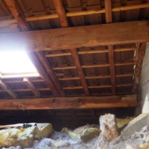 TERCAP traitement contre les vrillettes et les capricornes à Argelès-Gazost Hautes Pyrénées