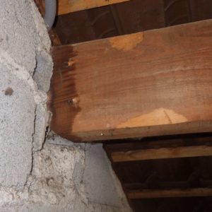 TERCAP traitement contre les vrillettes et les capricornes à Argelès-Gazost Hautes Pyrénées