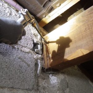 TERCAP traitement contre les vrillettes et les capricornes à Argelès-Gazost Hautes Pyrénées