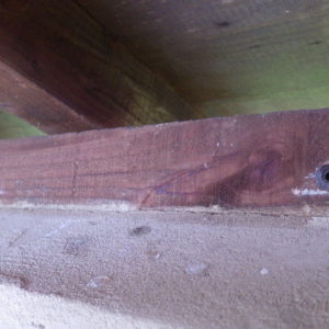 TERCAP traitement des bois de charpente dans les hautes pyrénées à Lascazères