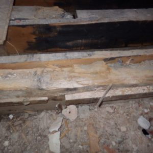 TERCAP réalise le traitement des vrillettes et capricornes dans une copropriété de Pau Béarn