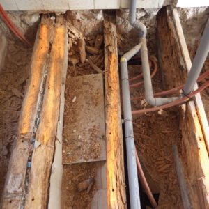 TERCAP réalise le traitement des vrillettes et capricornes dans une copropriété de Pau Béarn