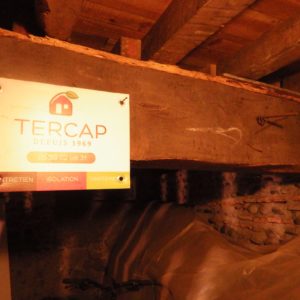 TERCAP réalise le traitement des bois contre les vrillettes et les capricornes à Pau dans le Béarn