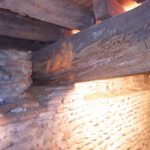 TERCAP réalise le traitement des bois contre les vrillettes et les capricornes à Pau dans le Béarn