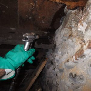 TERCAP réalise le traitement des bois contre les vrillettes et les capricornes à Pau dans le Béarn