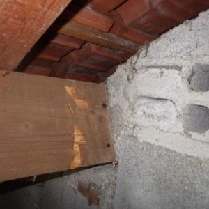 TERCAP réalise le traitement des bois de charpente à Pau dans le Béarn