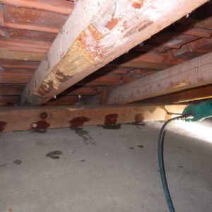 TERCAP réalise le traitement des bois de charpente à Pau dans le Béarn